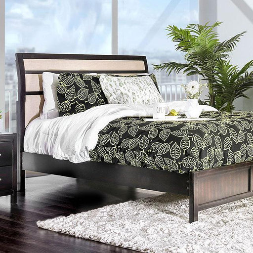 Berenice Bed Purple Brown - Imperial Furniture (Las Vegas, NV) - Multi Location