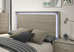 Rainier E.King Bed - Imperial Furniture (Las Vegas, NV) - Multi Location