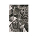 SIVAS 5' X 8' Area Rug - Imperial Furniture (Las Vegas, NV) - Multi Location