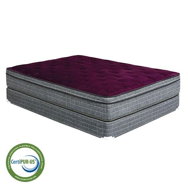 Purple/Grey 13" Euro Pillow Top Mattress Non-Flip, Full - Imperial Furniture (Las Vegas, NV) - Multi Location