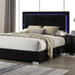 Sinistra E.King & Queen Bed White, Black & Beige - Imperial Furniture (Las Vegas, NV) - Multi Location