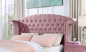 Zohar Bed Black & Pink - Imperial Furniture (Las Vegas, NV) - Multi Location