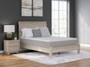 Terra Sleep Medium Mattress - Imperial Furniture (Las Vegas, NV) - Multi Location