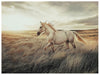 Errolville Wall Art - Imperial Furniture (Las Vegas, NV) - Multi Location