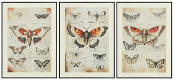 Jossletts Wall Art (Set of 3) - Imperial Furniture (Las Vegas, NV) - Multi Location