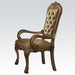 Acme Dresden Arm Chair in Gold Patina (Set of 2) 63154 - Imperial Furniture (Las Vegas, NV) - Multi Location