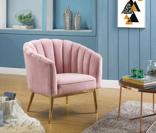 Colla Blush Pink Velvet & Gold Accent Chair - Imperial Furniture (Las Vegas, NV) - Multi Location