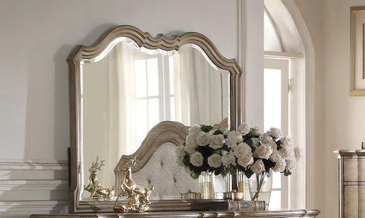Acme Chelmsford Landscape Mirror in Antique Taupe 26054 - Imperial Furniture (Las Vegas, NV) - Multi Location