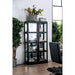Vilas Black Curio Cabinet - Imperial Furniture (Las Vegas, NV) - Multi Location