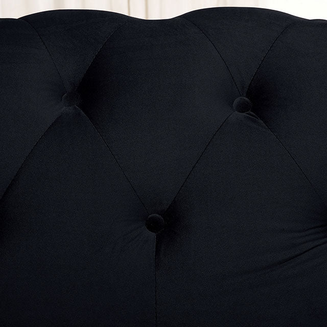 Giacomo Chair Black & Blue - Imperial Furniture (Las Vegas, NV) - Multi Location