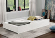 Lycoris Trundle/Drawer - Imperial Furniture (Las Vegas, NV) - Multi Location