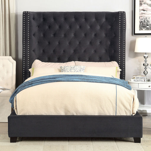 Mirabelle Bed - Imperial Furniture (Las Vegas, NV) - Multi Location