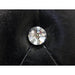 Velen Bed Black & White - Imperial Furniture (Las Vegas, NV) - Multi Location