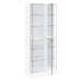 Cabra Curio Cabinet - Imperial Furniture (Las Vegas, NV) - Multi Location