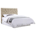 Chloe Full Headboard - Imperial Furniture (Las Vegas, NV) - Multi Location