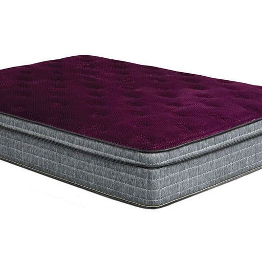 Minnetonka 13" Euro Pillow Top Mattress - Imperial Furniture (Las Vegas, NV) - Multi Location