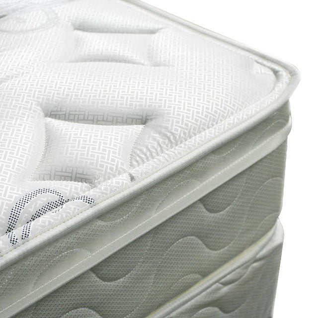 JALEN White 9" Euro Top Mattress, Twin - Imperial Furniture (Las Vegas, NV) - Multi Location