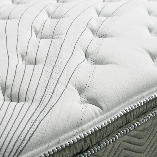 STORMIN White/Gray 13" Euro Pillow Top Mattress, Queen - Imperial Furniture (Las Vegas, NV) - Multi Location