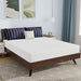 Nasturtium 8" Queen Bamboo Charcoal Infused Memory Foam - Imperial Furniture (Las Vegas, NV) - Multi Location