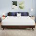 Nasturtium 10" E.King Bamboo Charcoal Infused Memory Foam - Imperial Furniture (Las Vegas, NV) - Multi Location