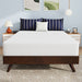 Nasturtium 10" Full Bamboo Charcoal Infused Memory Foam - Imperial Furniture (Las Vegas, NV) - Multi Location