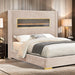 Danvers Bed Beige, Black, & Grey - Imperial Furniture (Las Vegas, NV) - Multi Location
