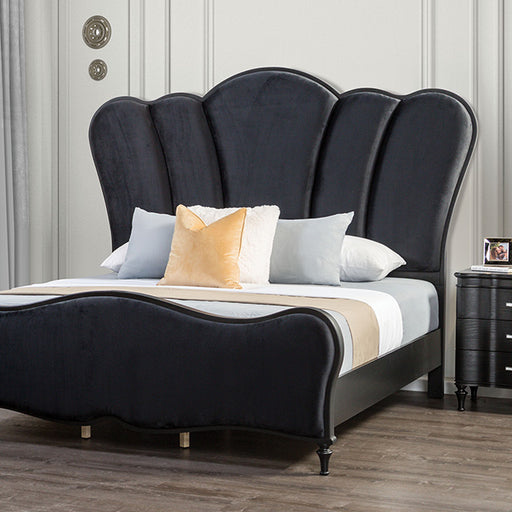 Melodi Parc Bed Black & Silver - Imperial Furniture (Las Vegas, NV) - Multi Location