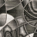 SIVAS 8' X 10' Area Rug - Imperial Furniture (Las Vegas, NV) - Multi Location