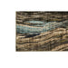 Kelowna Area Rug - Imperial Furniture (Las Vegas, NV) - Multi Location